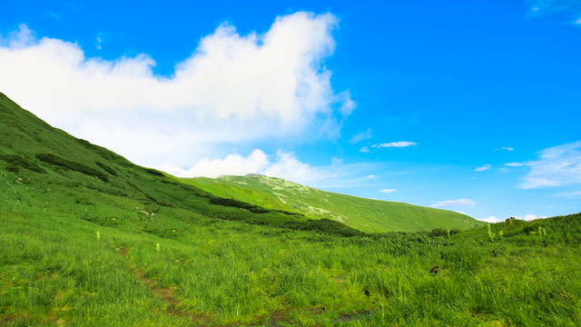 美麗的風(fēng)景