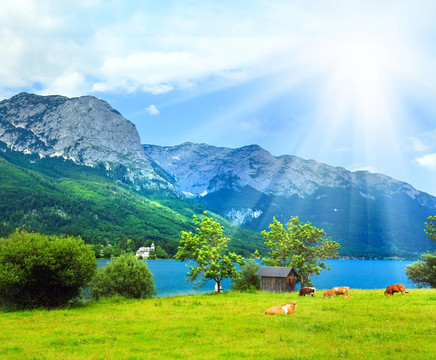 高山夏季湖泊景觀