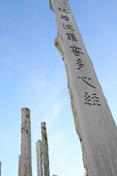 智慧的道路
