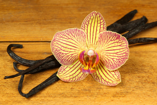 蘭花和香草莢