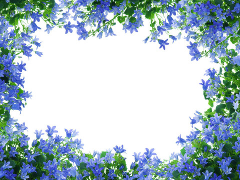花框