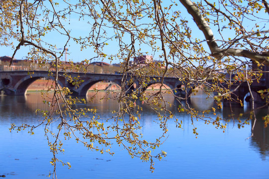 Pont Neuf（橋）（十七C.）在Garonne；圖盧茲；法國(guó)