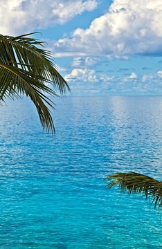 夢海景觀