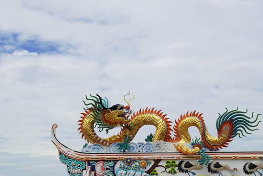 美麗的中國龍