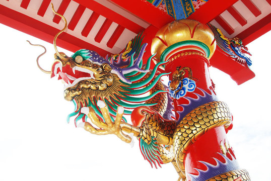 美麗的中國(guó)龍