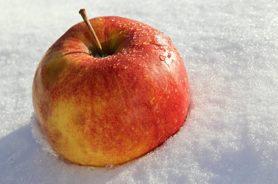 蘋(píng)果躺在陽(yáng)光下的雪上
