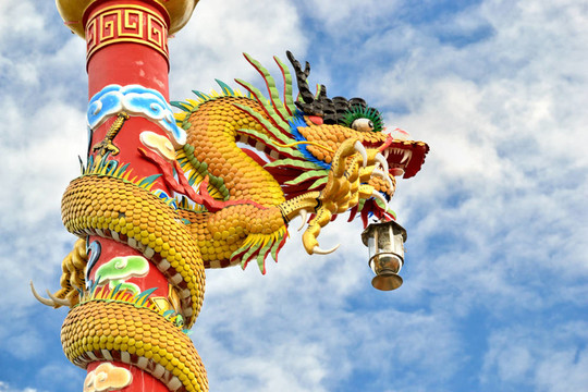 龍樁