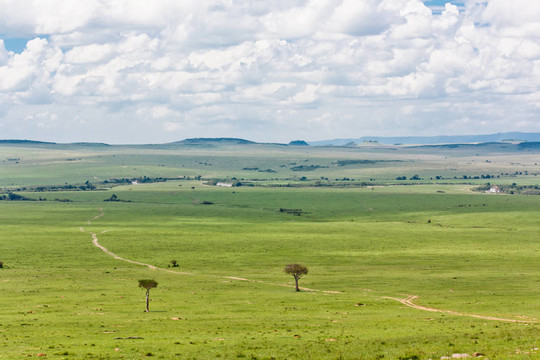Masai Mara
