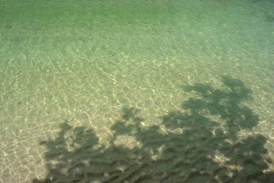 海水