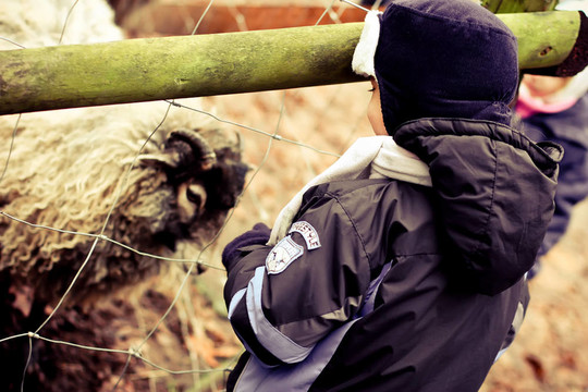 男孩在動物園