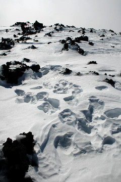 埃特納火山；西西里島被白雪覆蓋的火山