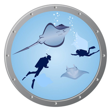 潛水員和魚