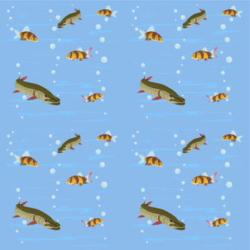 淡水魚(yú)