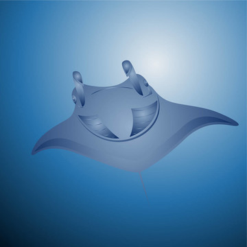黃貂魚