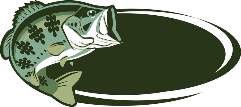 游戲的魚(yú)