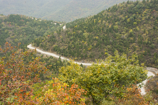 蜿蜒的山路
