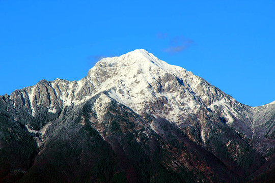 在山上
