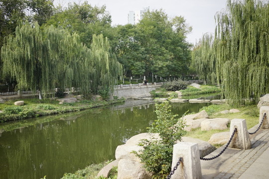 公園