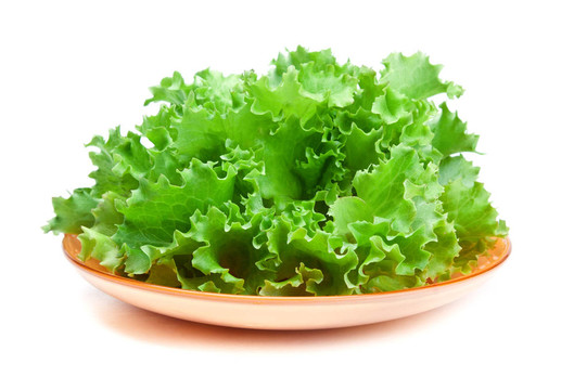 新鮮蔬菜沙拉