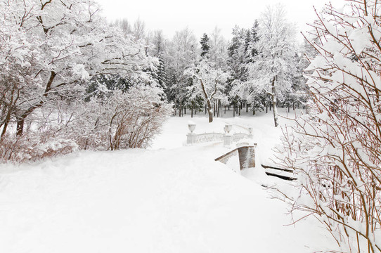 冬天下雪的公園