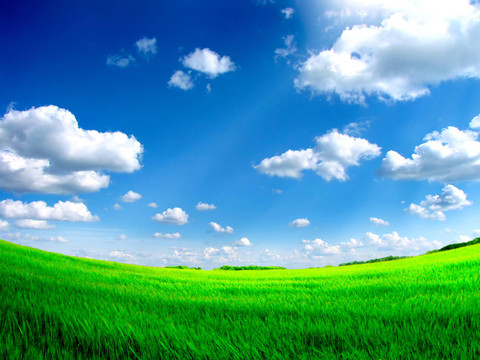 夏天的風(fēng)景