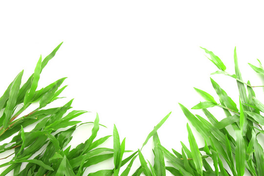 帶有文本空間的草架