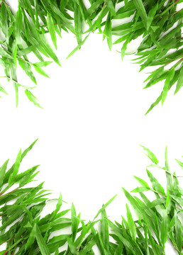 帶有文本空間的草架