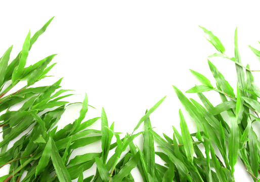 帶有文本空間的草架