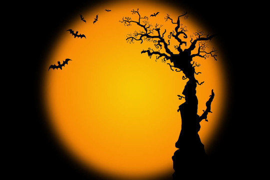 hallowwen背景說明蝙蝠的樹