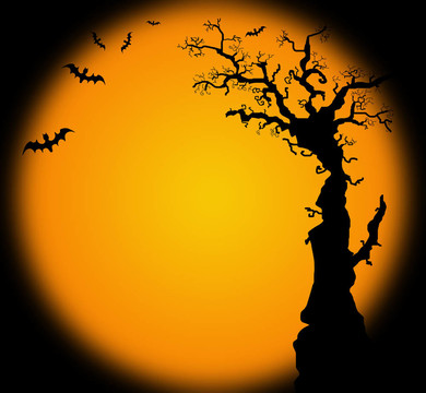 hallowwen背景說明蝙蝠的樹