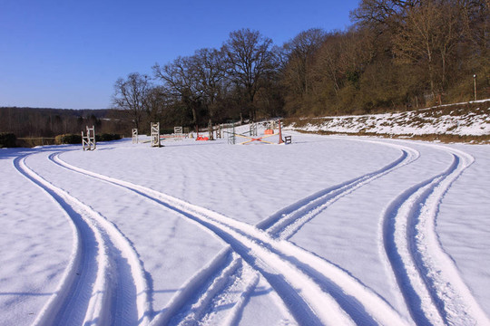 冬季雪中的輪胎痕跡