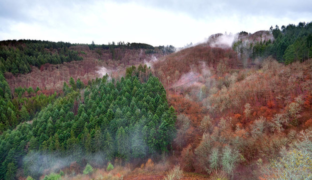 看山