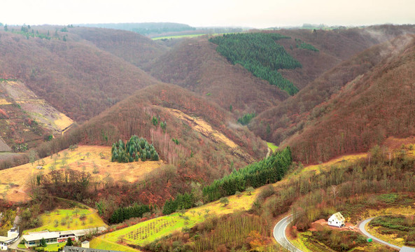 看山