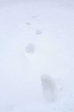 深深的雪上的腳印
