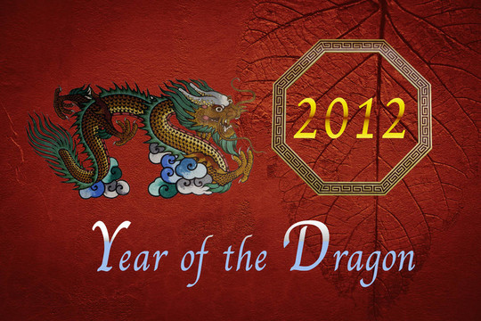 龍?jiān)O(shè)計(jì)的2012年