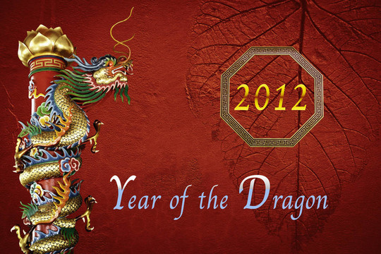 龍設計的2012年