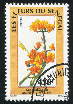花