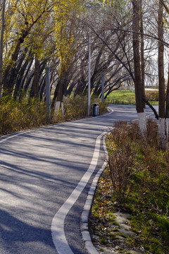 林蔭道