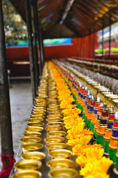 酥油燈