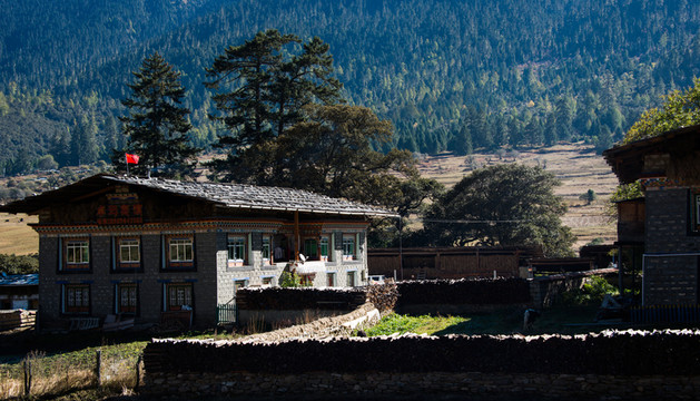 魯朗小鎮(zhèn)景色