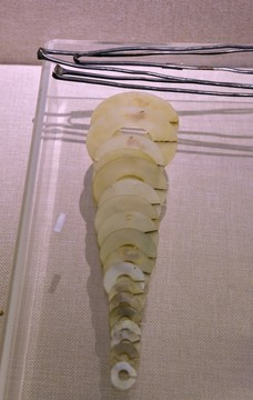 玉玦