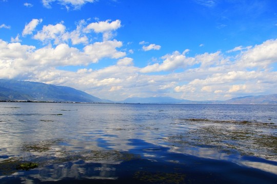 深藍洱海