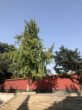 陶公廟