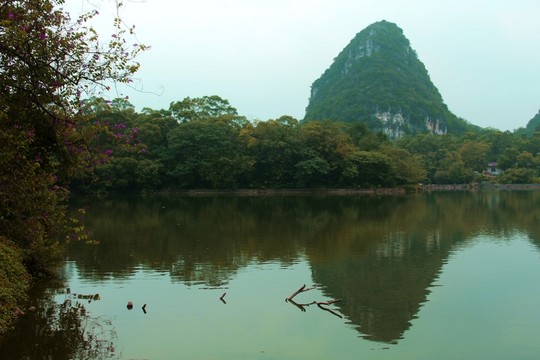 秋天的風景