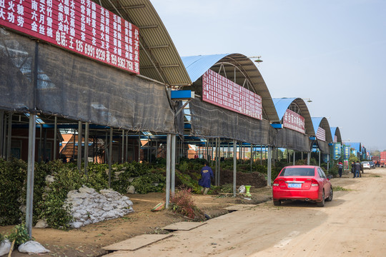 苗木 苗圃 交易市場