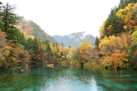 秋天的九寨溝