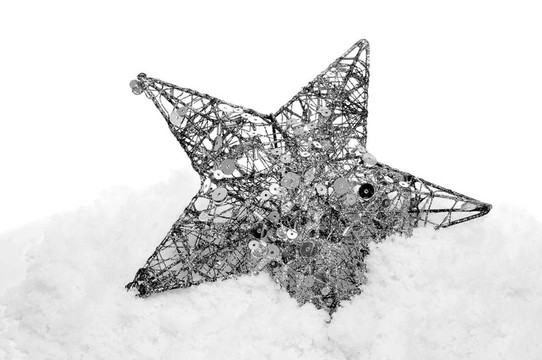 雪上的圣誕星