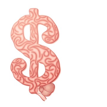 美元的大腦