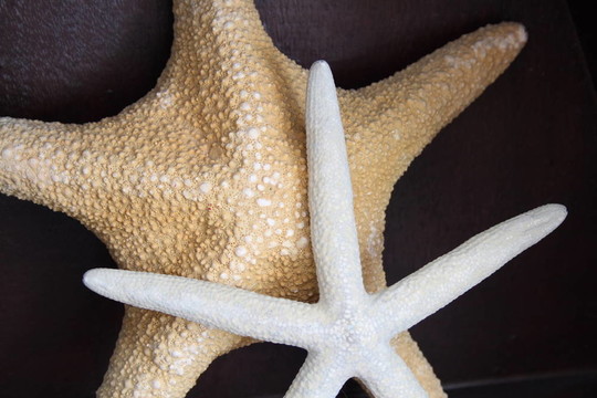 星星