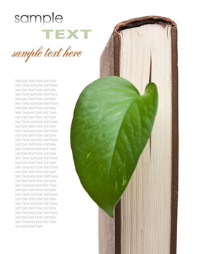 帶綠葉的書